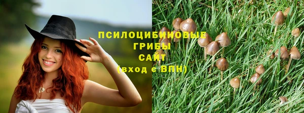 мяу мяу мука Приозерск