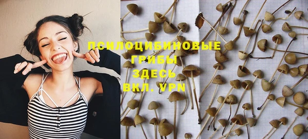 прущие грибы Пролетарск