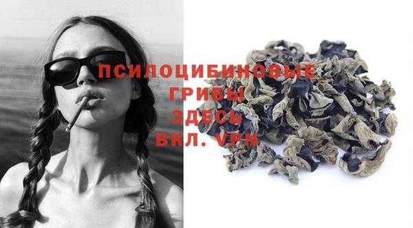 прущие грибы Пролетарск