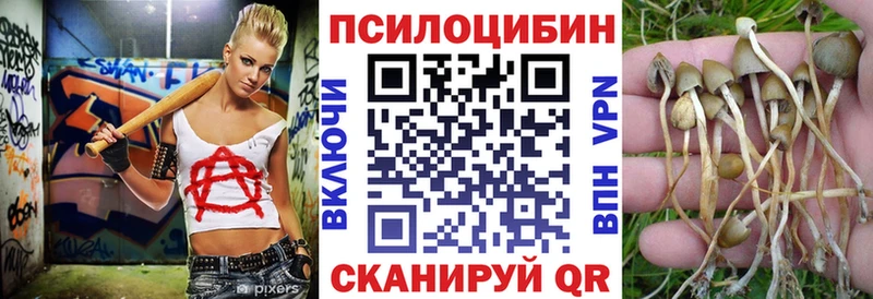 Псилоцибиновые грибы прущие грибы  Купить  Шарыпово 